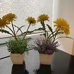 Apartman Beco Farinhas *