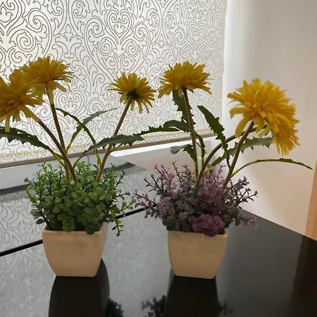 Apartman Beco Farinhas *